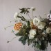 Occasions
