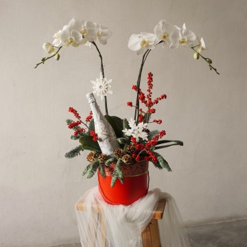 Orchid Box (L)