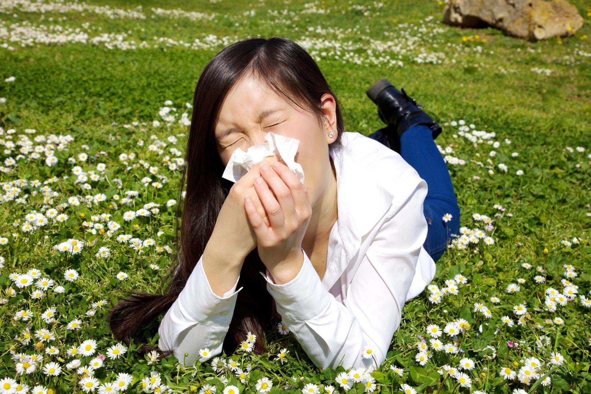 Best Hypoallergenic Flowers That You Can Give Someone With Allergy Best Hypoallergenic Flowers That You Can Give Someone With Allergy