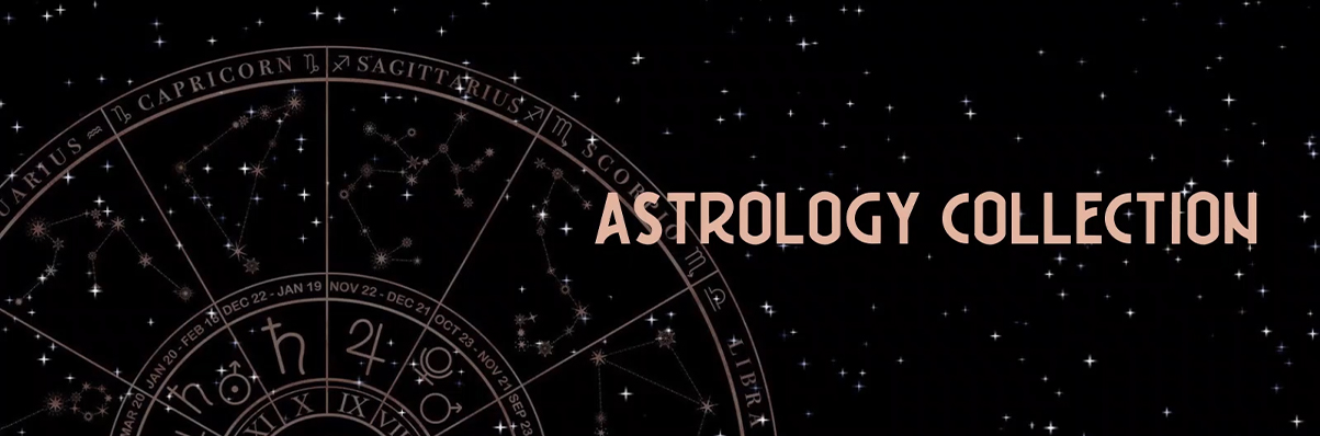 A Bouquet for Every Zodiac Sign A Bouquet for Every Zodiac Sign